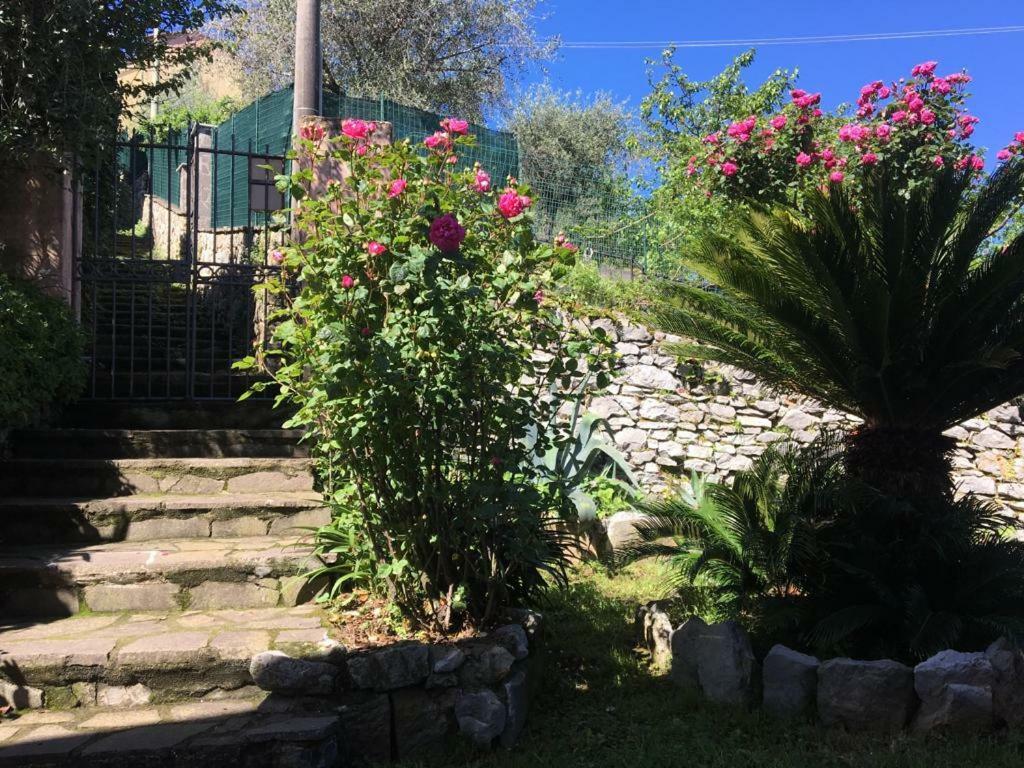 לה ספציה Tre Pini Apartment מראה חיצוני תמונה